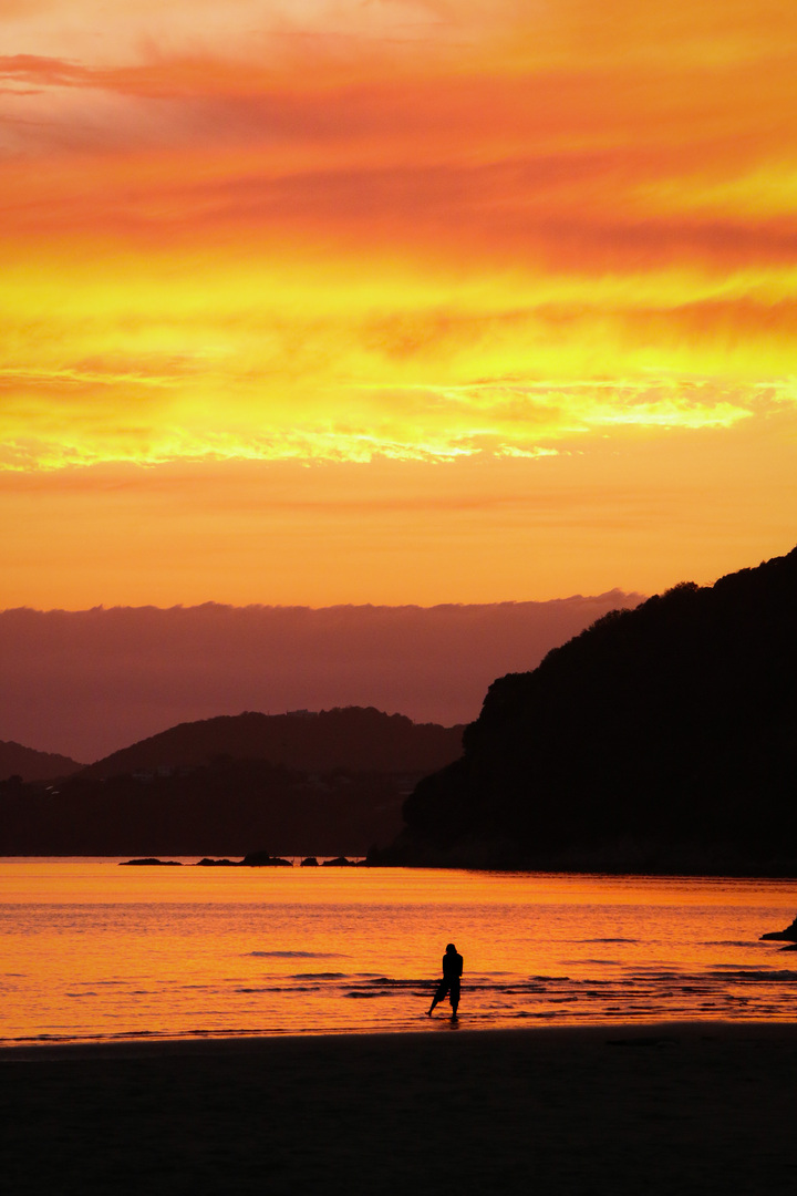 Thumb b19d7a7c 379d 4fb8 a273 505fe6b29e2d