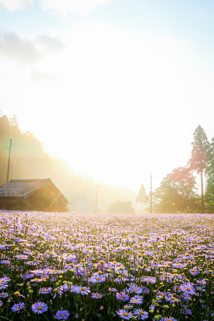 Thumb ec0246df 6170 4d91 98f7 ee95c557eb1e