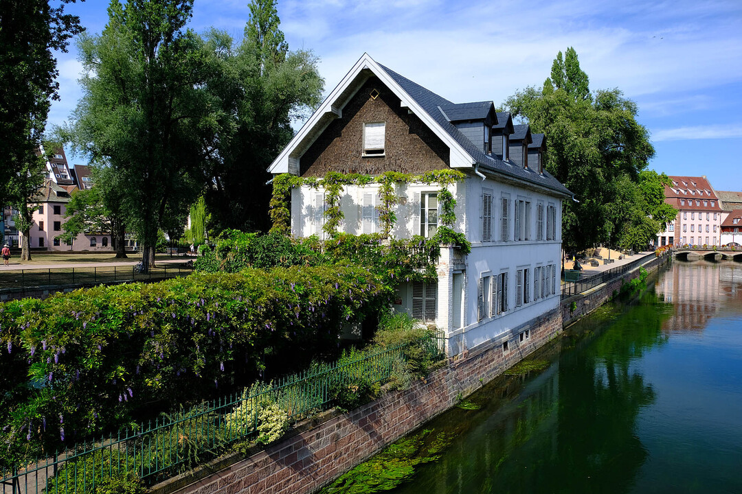 Thumb 46b46c4b d8d3 4b65 b823 f84515ed4d08