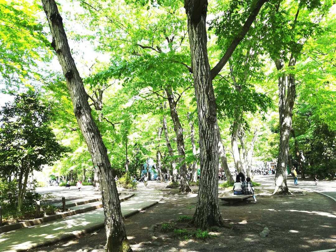 Thumb f6e33ced a5bb 470c 8dfe eaece0048abb