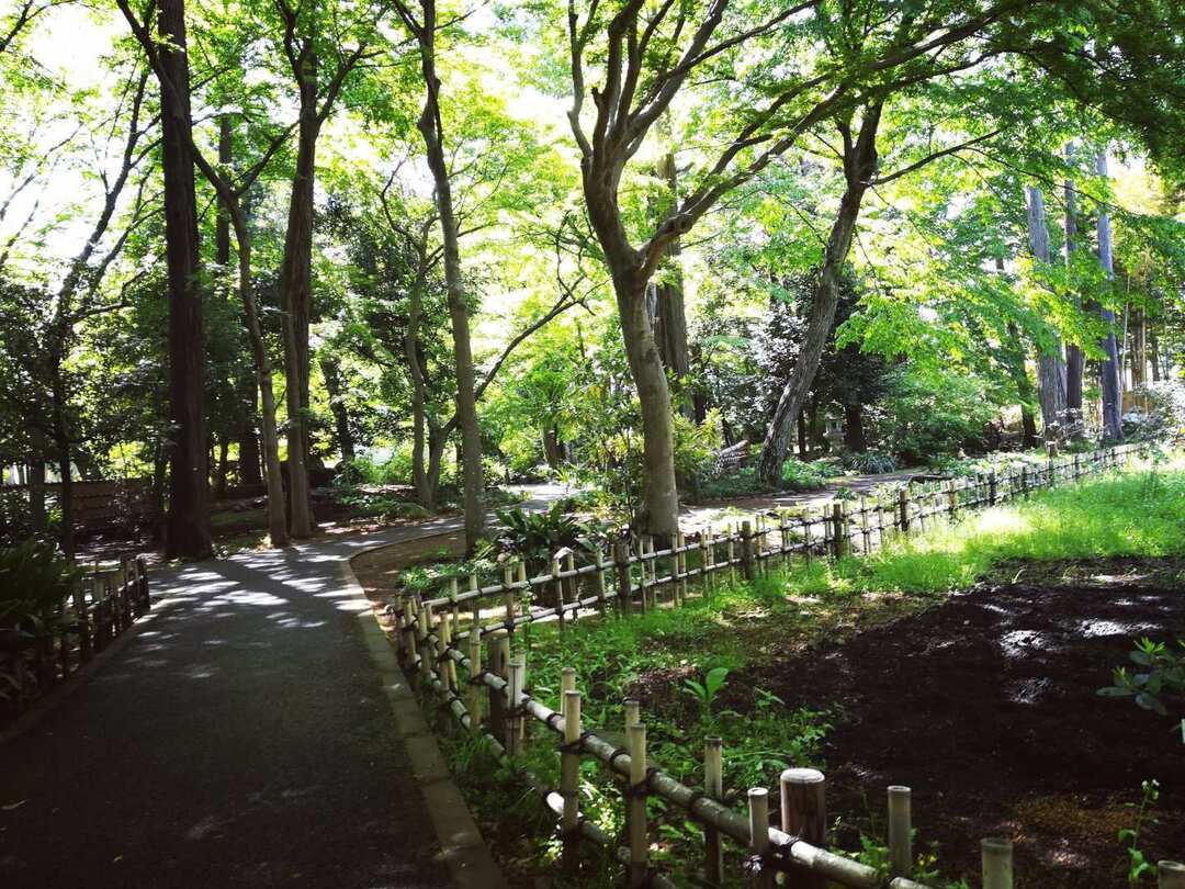 Thumb a0cc8c3e 64ec 43b8 b712 101d6deac1ef