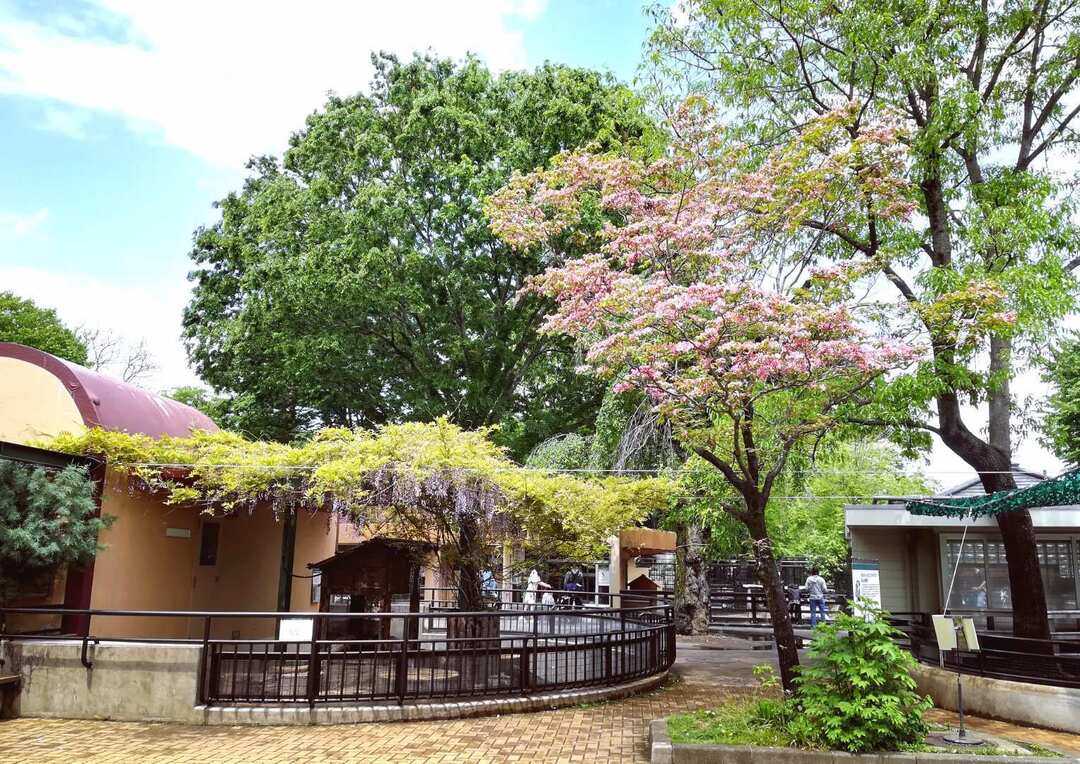 Thumb 5ad359ae 1179 4493 9426 2d9e73da2a64