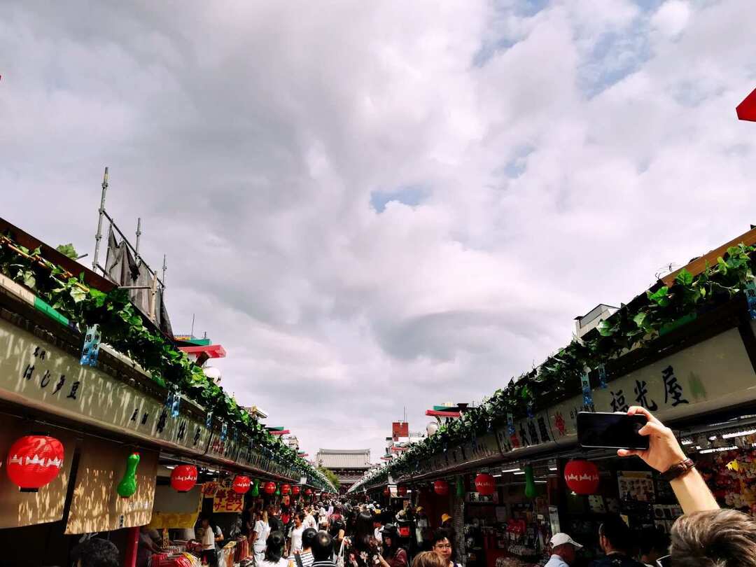 Thumb 8d05acb7 474b 4e9a 842a 2a39baa2c88a