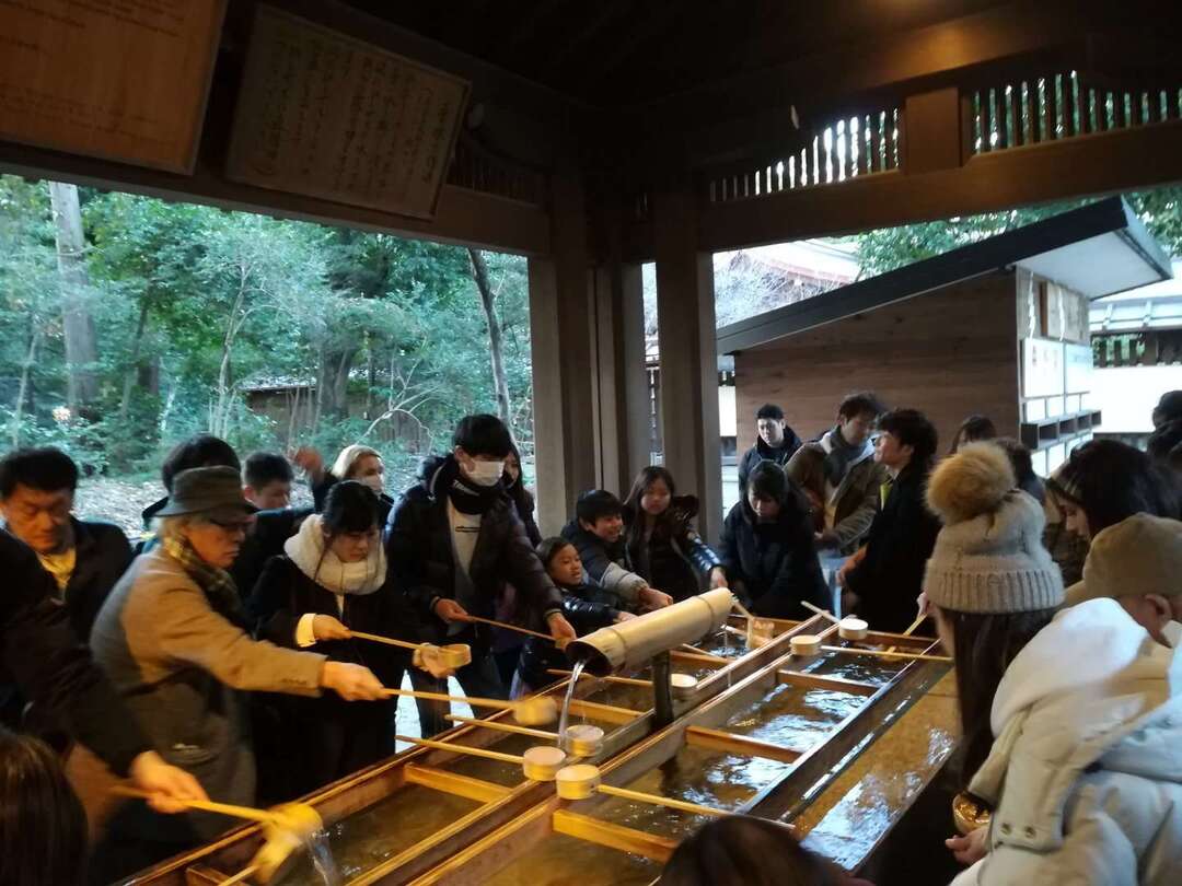 Thumb e48c12d4 090c 4a76 8017 9bd8807a86d2