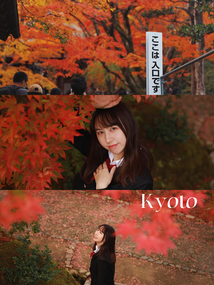 Thumb 52ffe04b 6543 4865 99eb 67032250583e