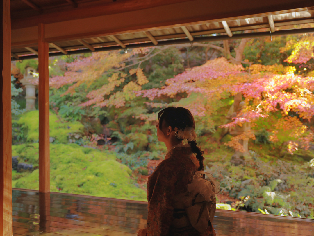 Thumb 61ff4cc4 6442 4384 9354 9e504f81d5eb