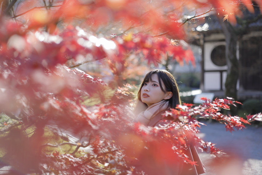 Thumb 2635be2a 89e8 4f80 a8e6 5b57a19d7339