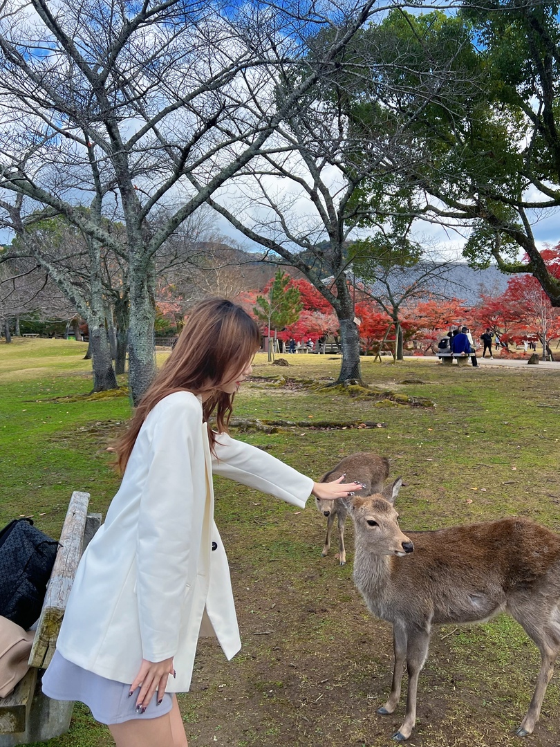 Thumb b5c2ff40 ca81 42f4 a222 c1ec7e5fa4f0