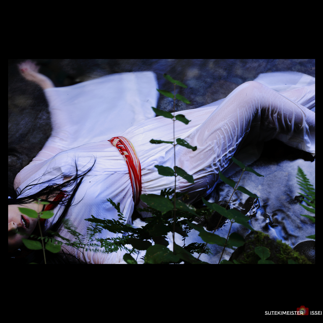 Thumb 1080a3e6 008d 4be5 b8de a8386f5c313a