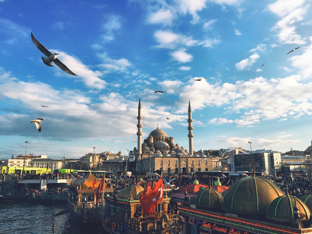 Thumb f64dc924 9e26 4aea aa5a 58a61d788055