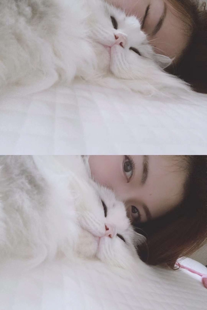 Thumb 212317f4 1c31 4603 964c 2a9816696cad