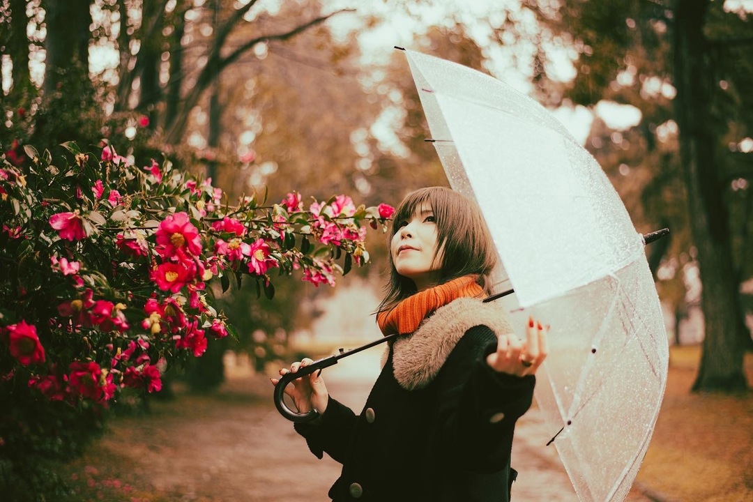 Thumb c1309917 79a5 4c1b 915e c9dcc5b7915a