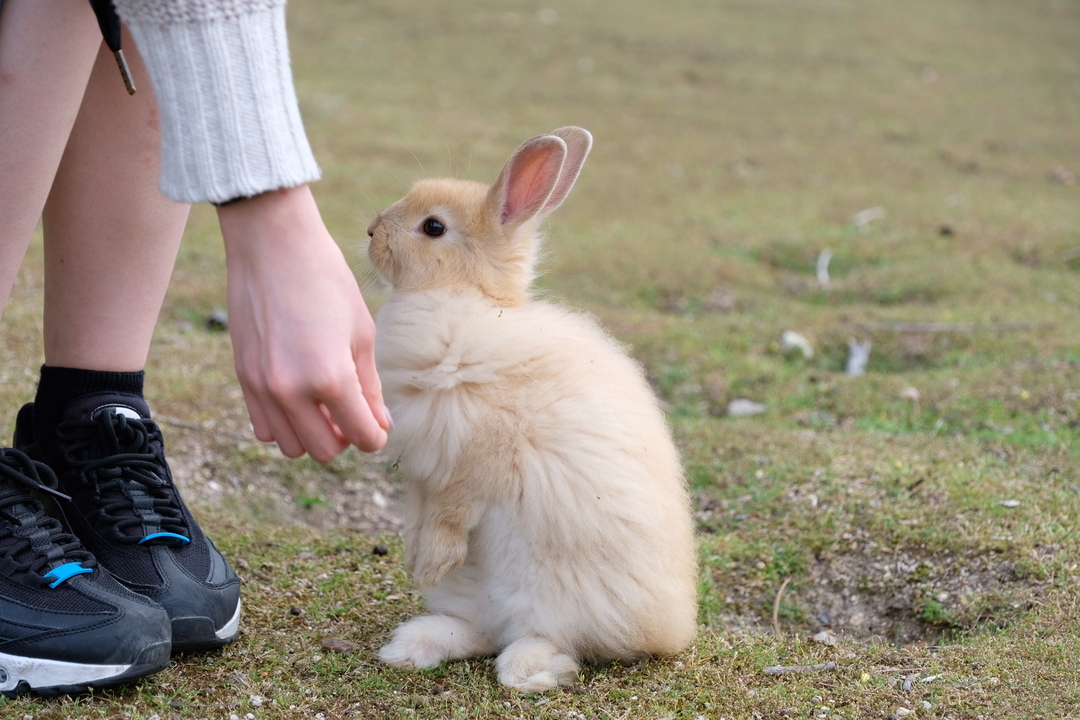 Thumb cacc3cc7 1f9b 43e6 bee3 867a9501115d