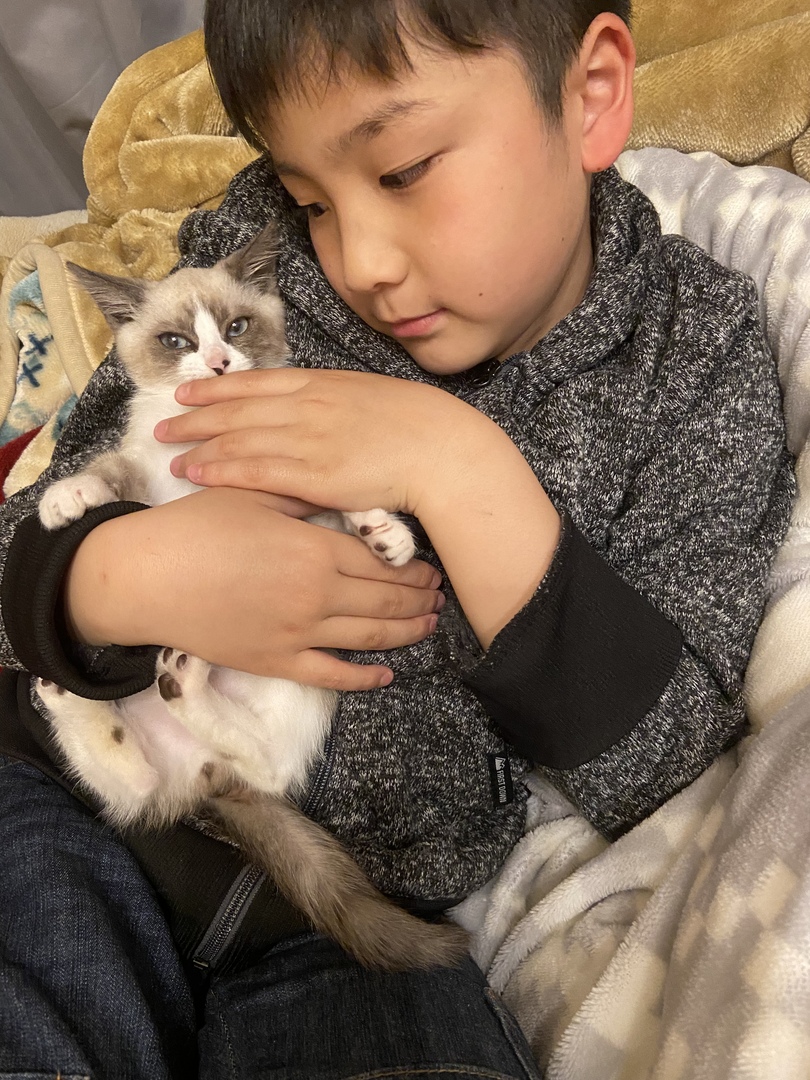 Thumb bfef07d1 cb1b 483f bad8 7243f3910aae