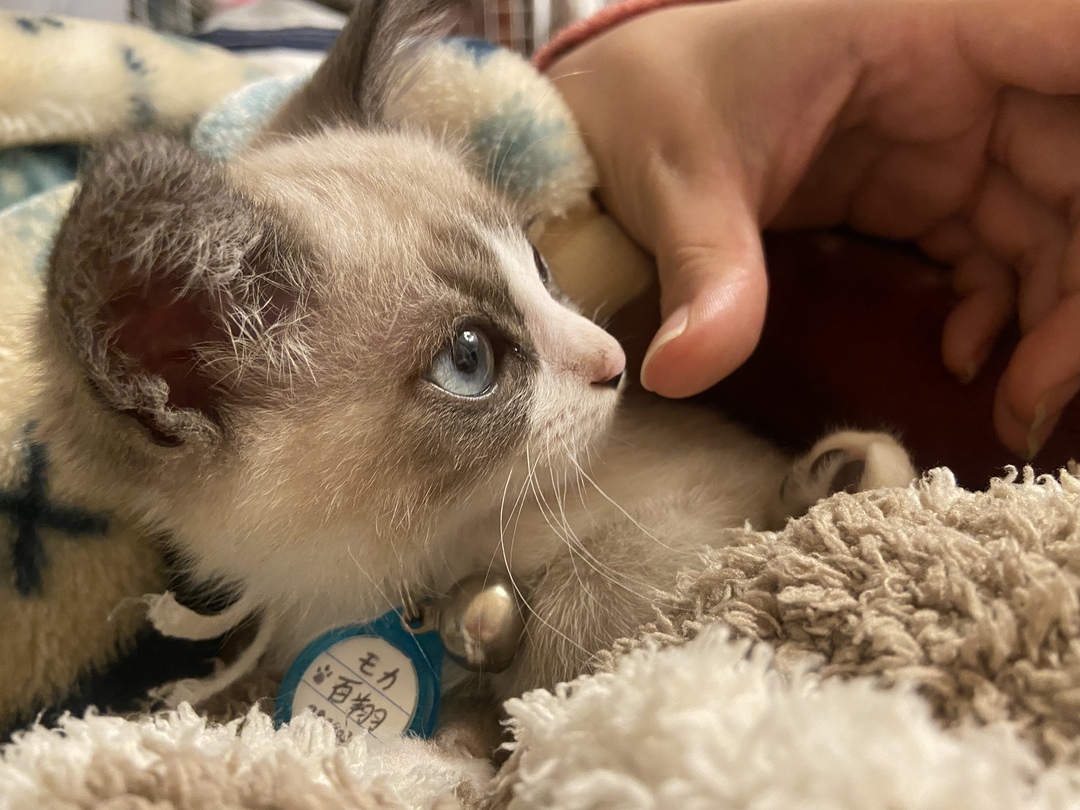 Thumb 08ed344a 9589 469e 8f7e 682c68ecf60e