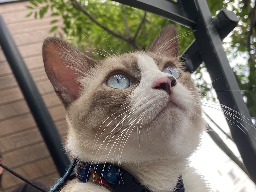 Thumb 898fa541 3168 46a6 bbf7 41cfbc2aa46a