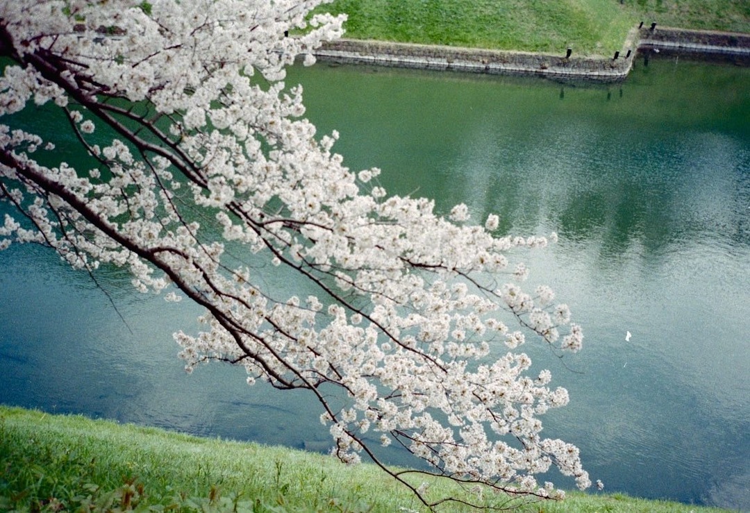 Thumb f83b56f4 7514 4fb2 bf4b 08ff2b431fa0