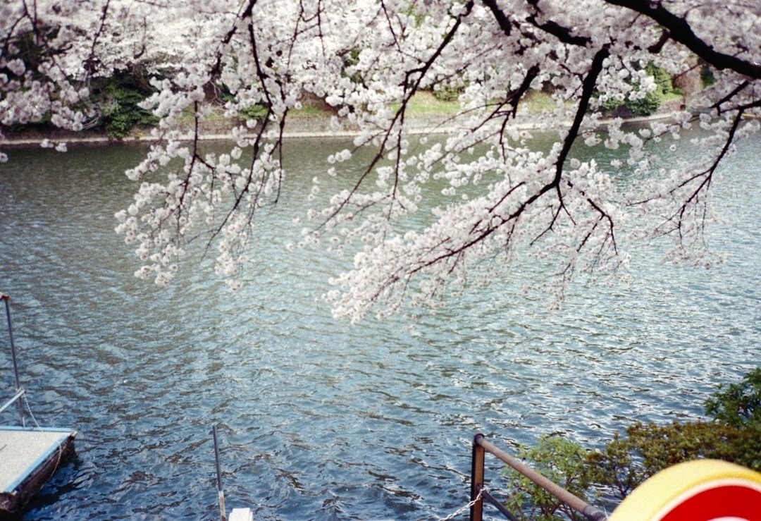 Thumb 87d065e1 194d 4c9c 9748 9ec0bde03d6a