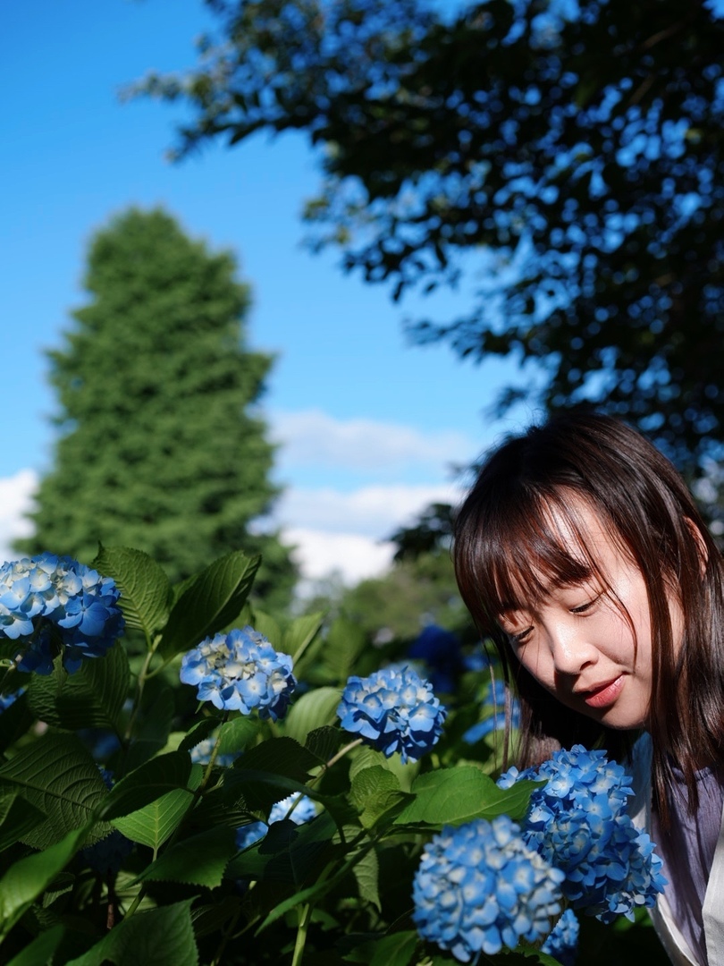 Thumb e9213744 251c 4b19 9680 f5dffc91ce02