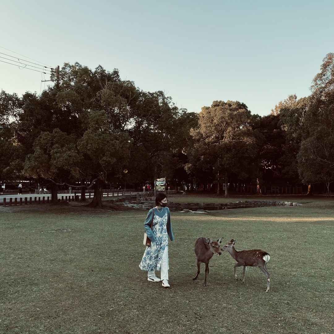 Thumb 84cc3c4e 3bf5 4b83 bc18 c6eaf04509c0