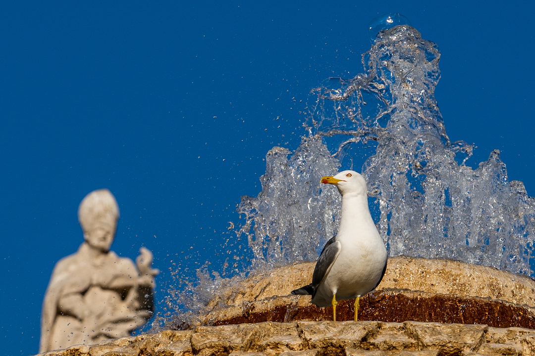 Thumb 772e9e72 e787 479b a1f9 2932a8965aaa