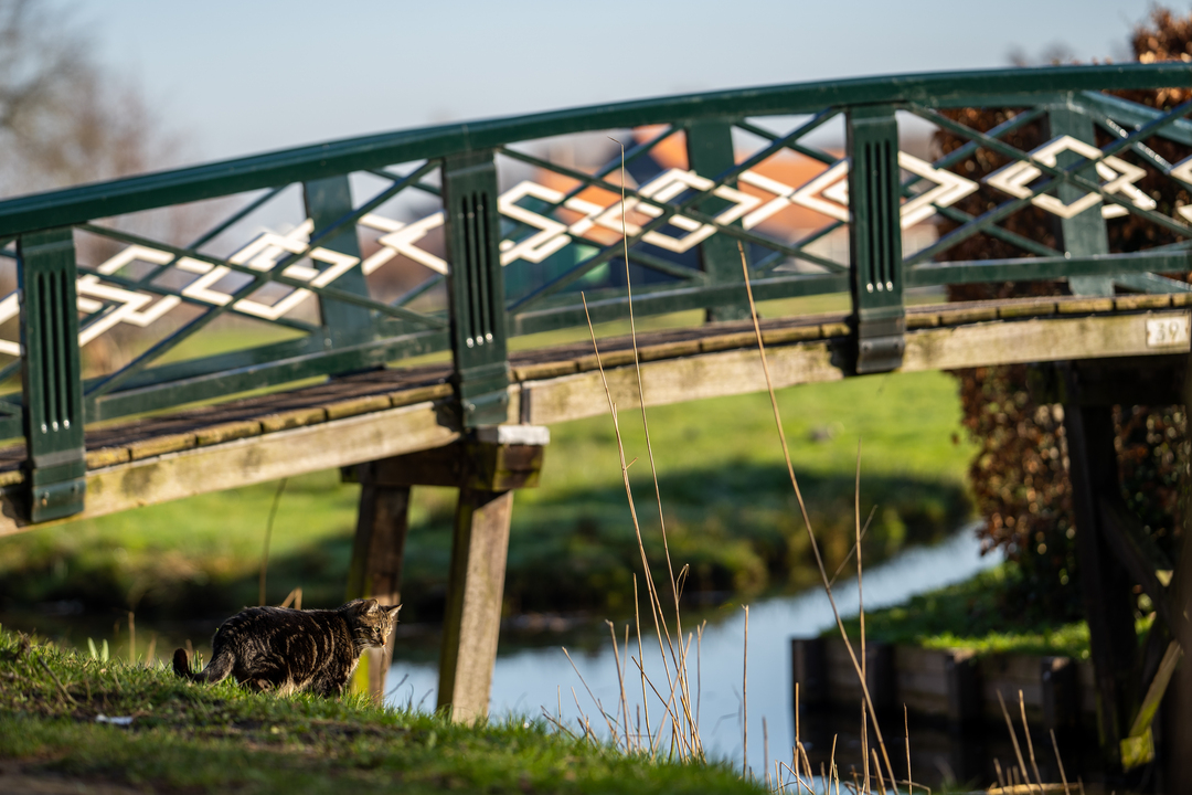 Thumb a3c92164 6c68 4b1f b2ff 886a395053ae