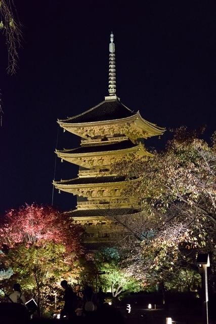 Thumb d211ea5b a551 4463 b341 f42cb51ff0d4