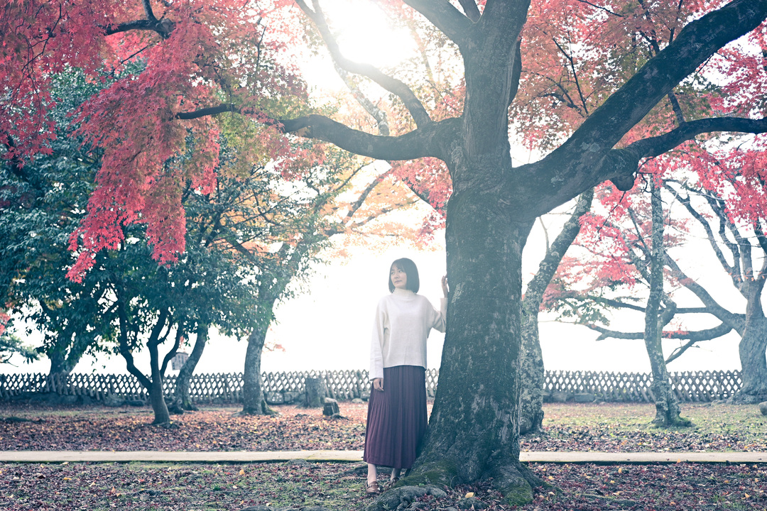 Thumb a2c0fe73 d085 4598 8531 0a5c5b528035