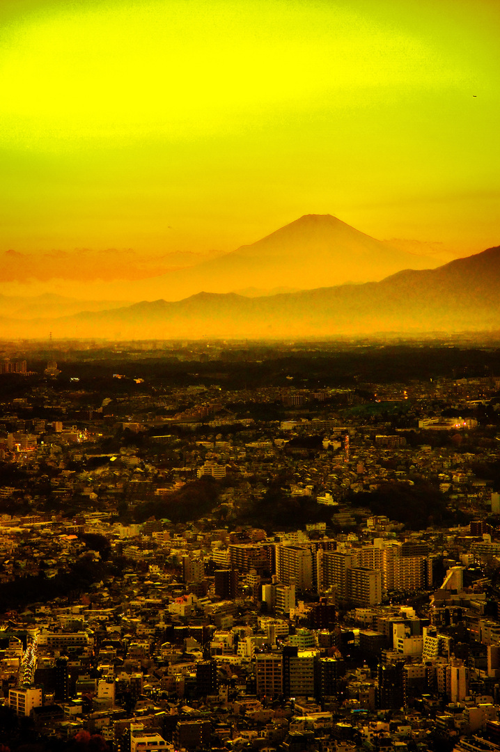 Thumb 3f863215 63d6 4289 a253 f8ae5194f758