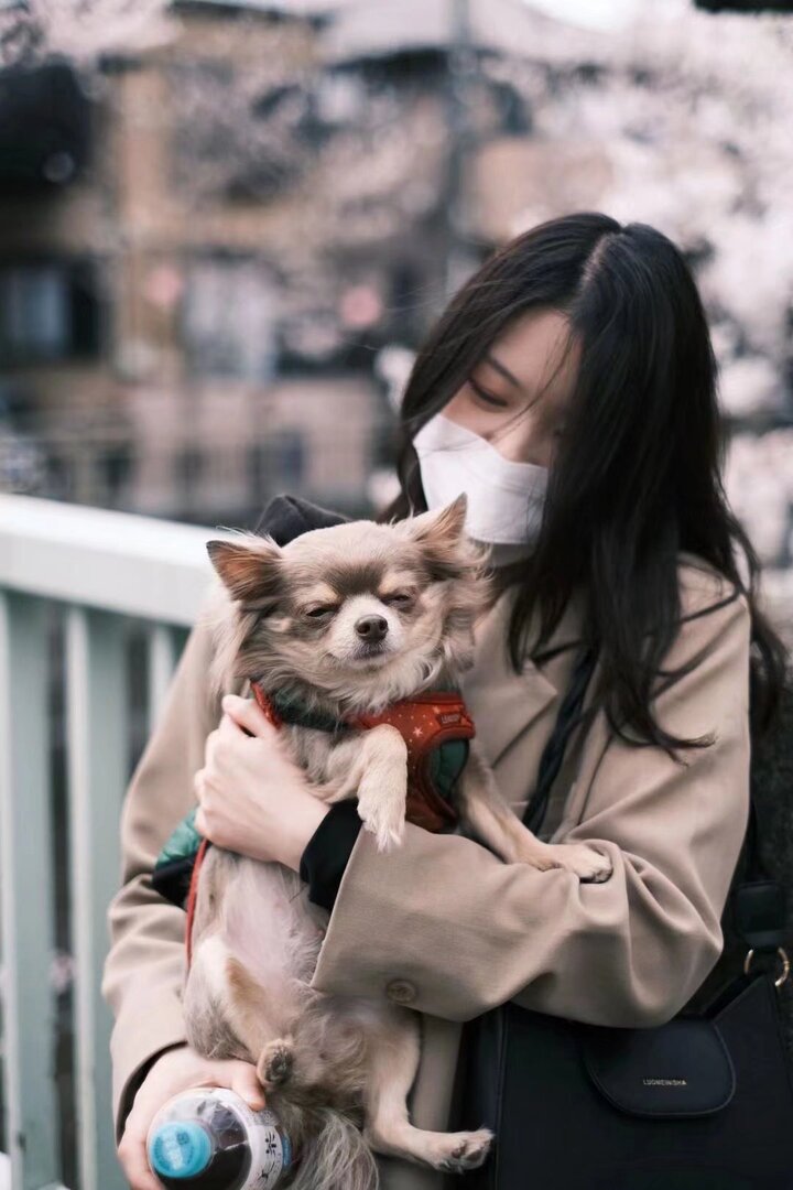 Thumb c67cd3fc 8448 4bd6 a8ee 48d5544bd2ba