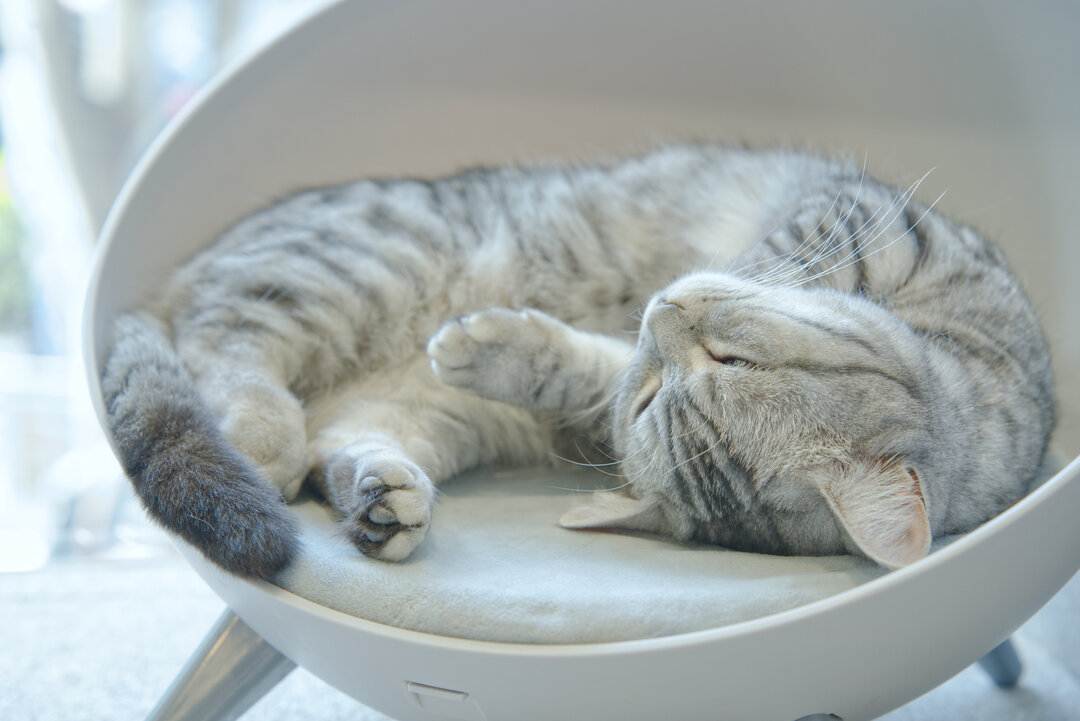 Thumb 11ff06f9 9406 49b8 8598 34c3f9f4bf4e