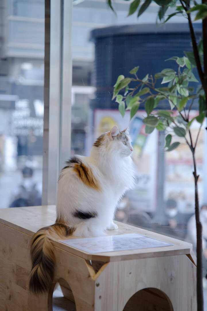 Thumb 3ae2ccc1 2a43 43e1 8913 749336f79b07