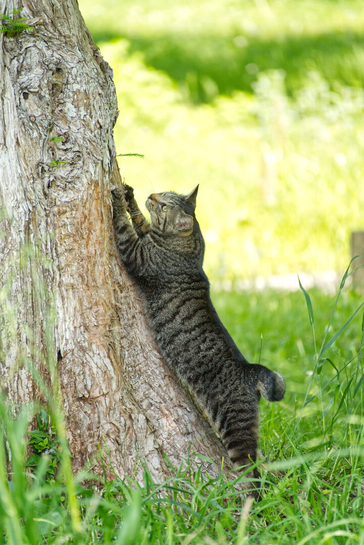 Thumb 3acc1da2 0257 4b7c 96fc 198532eecf1e