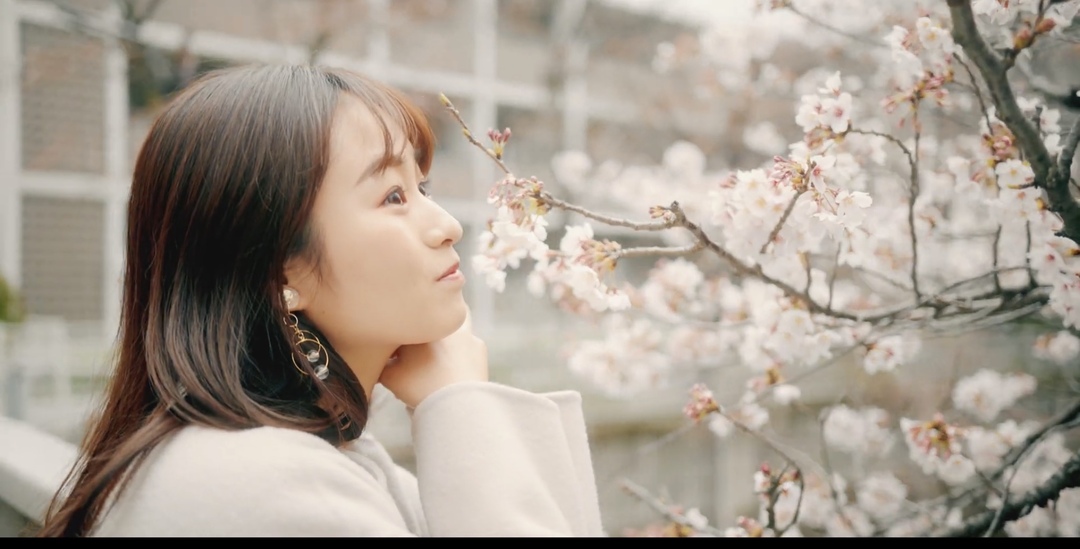 Thumb 64b0f997 a1c5 4a75 8470 4af78f13c854