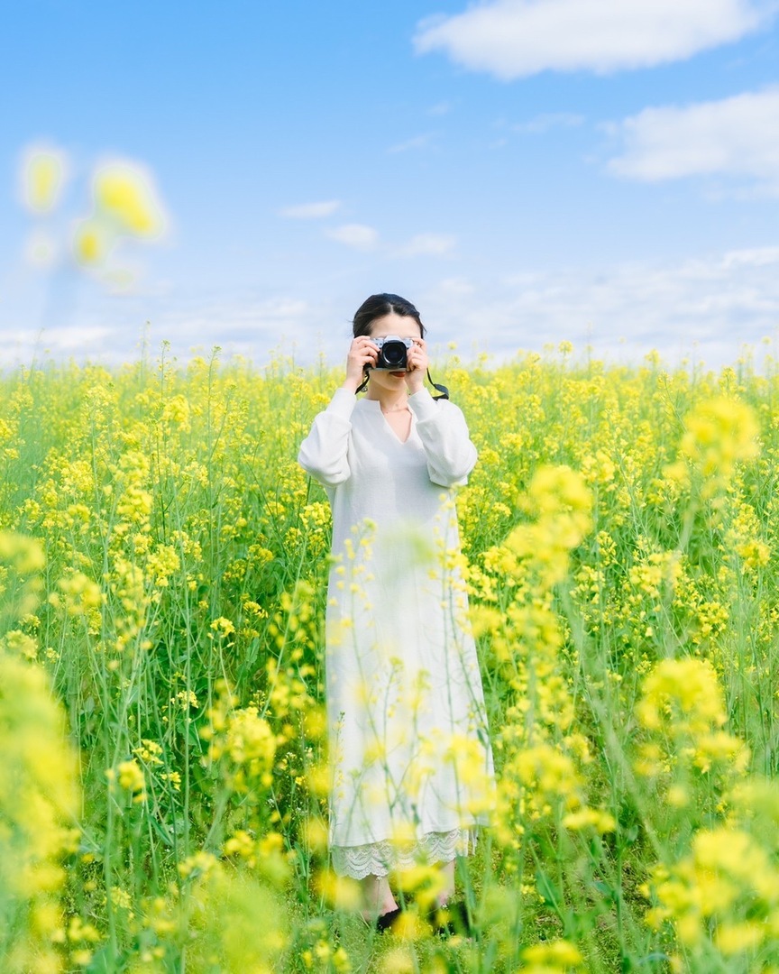 Thumb cdca8971 3328 48ab ae31 0f8fa1d83c59