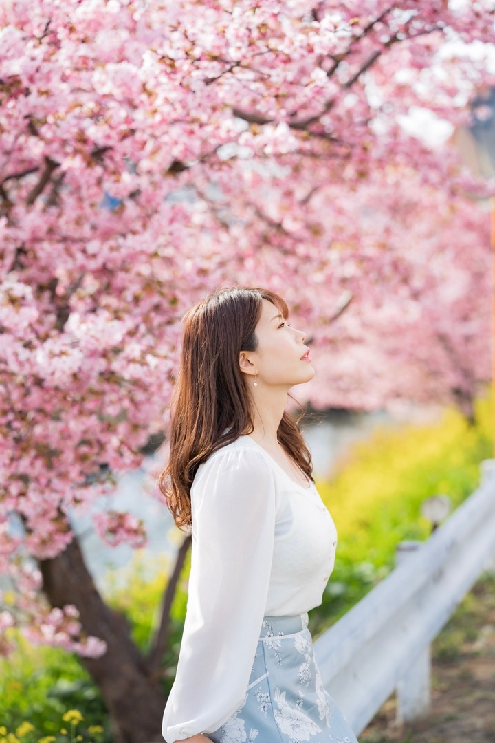 Thumb 6847060e 49fe 4c72 b3f0 c827dbd757ff