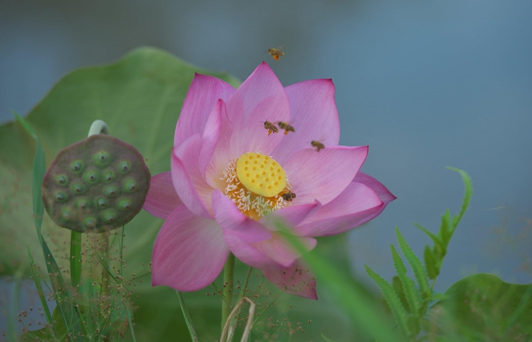 Thumb 3861179e 8515 472a be4d 0f3d1ce1adf5