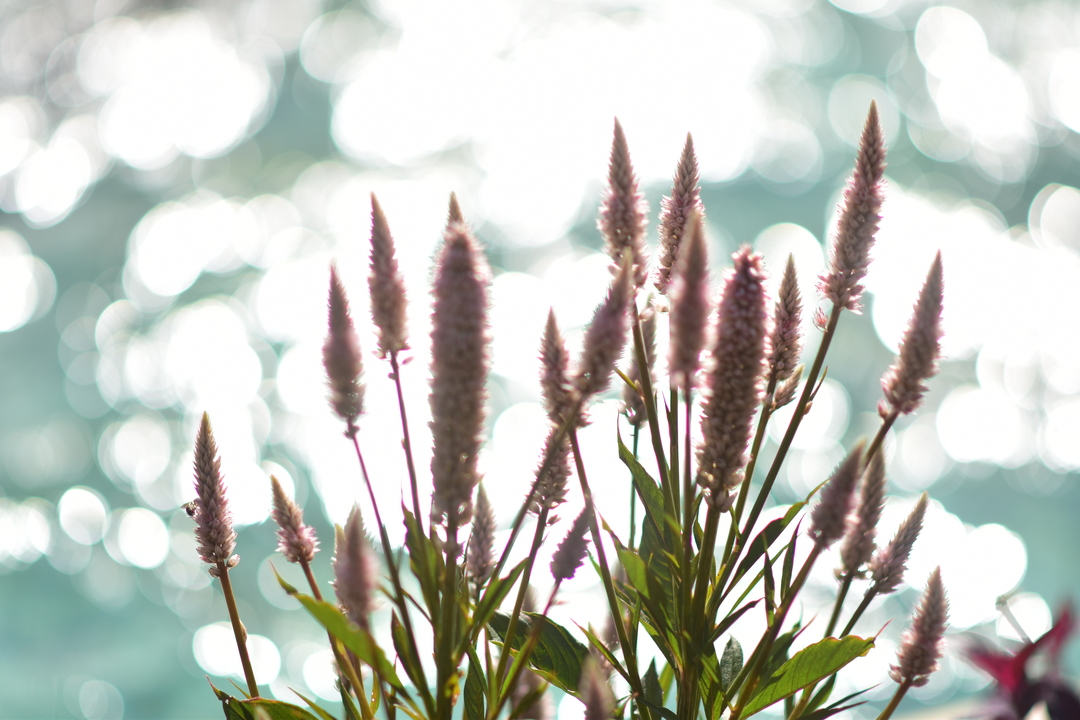 Thumb 49a042fa a03f 4249 a1ea 3f8e62723268