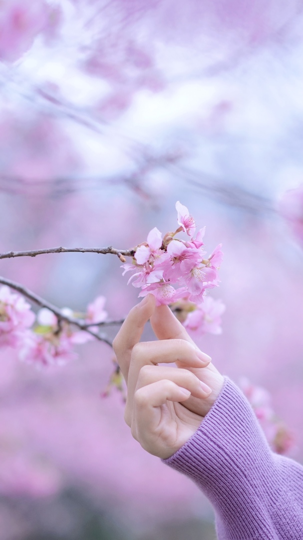 Thumb 3bc60f8e 058b 4e73 8f81 c71c14532863