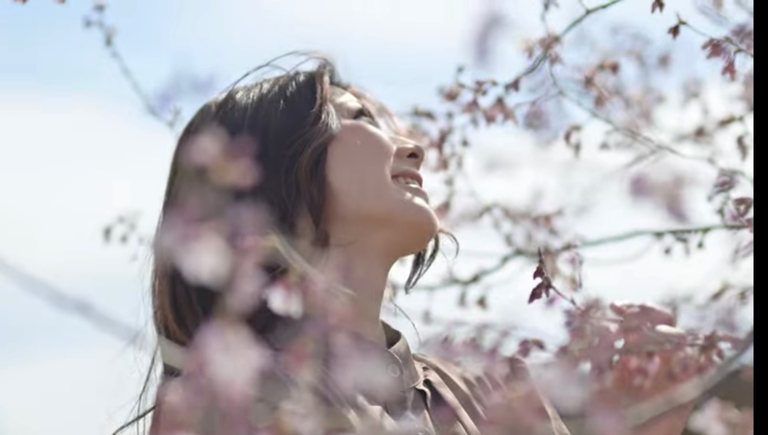 Thumb 2481f71c 23c7 4239 8225 c0a75a1bcadf