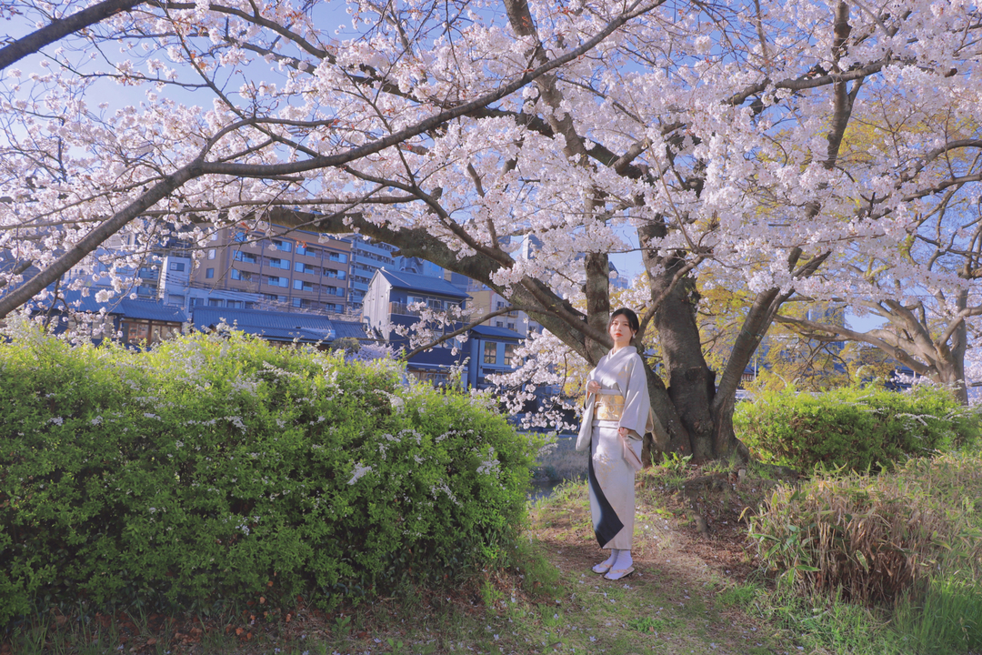 Thumb f4c04350 a295 4f72 a15f 75f95192e87b