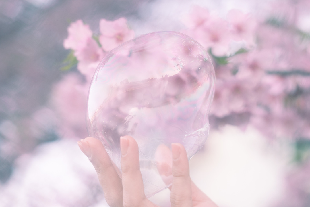 Thumb ab13e4f9 688e 43e3 9963 2bb5819756be