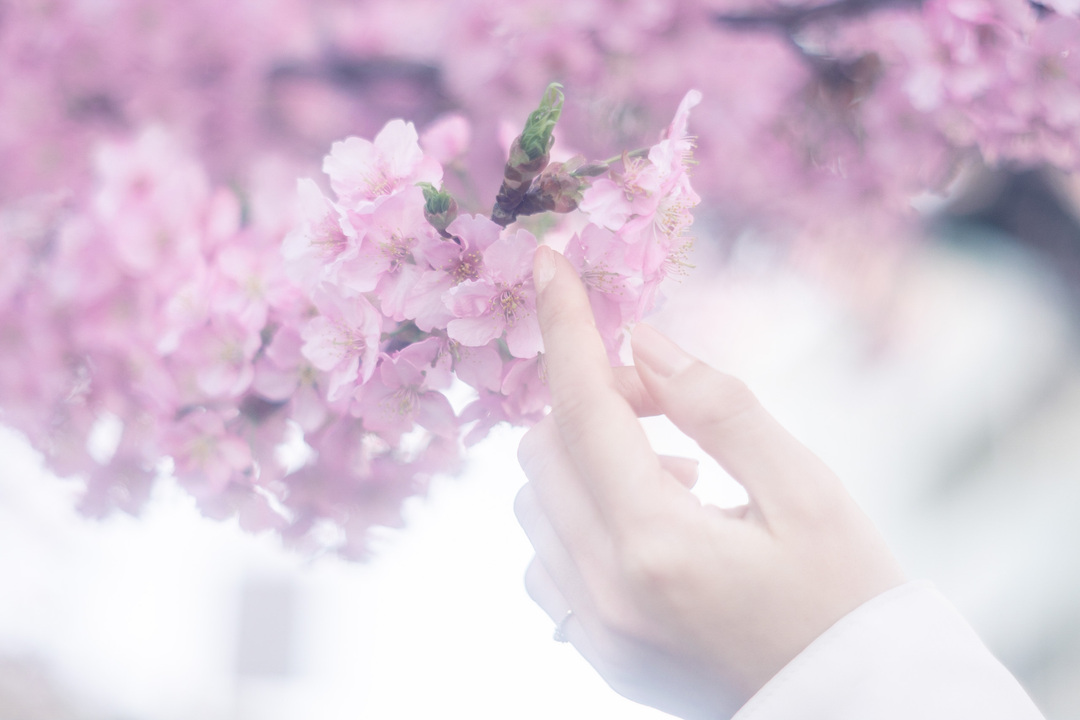 Thumb 84336919 9f11 423c 8a72 1072c6b2eee2