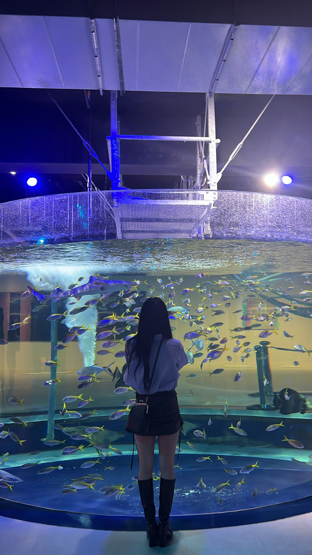 Thumb 175aa8d0 8c8e 41fc b62d 1c4a4da86065