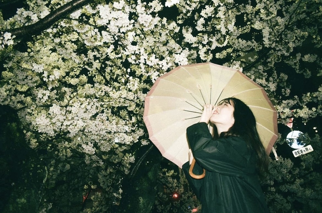 Thumb f639c4e2 9f35 4883 8c2b f322688078c4