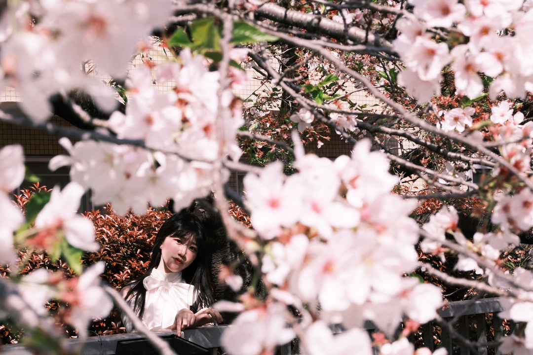 Thumb b9848571 4af8 46fa 9da4 92cfeb23b31d