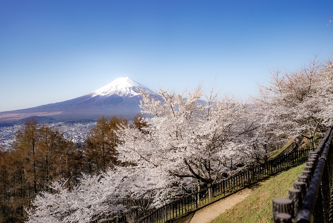 Thumb a9586b83 2647 44ae 9f5d 531863b3b936