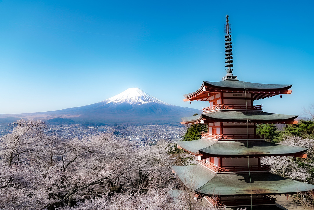 Thumb b29b7efd d7e2 4d1f a913 65177f9b8821