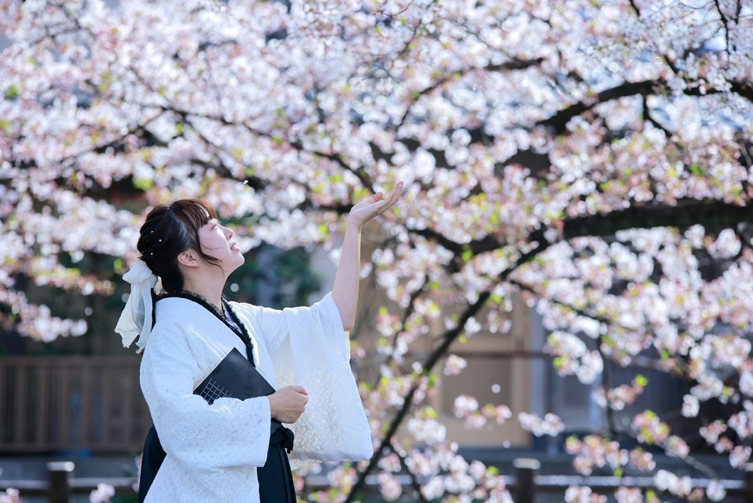 Thumb b4f7baee ff25 49ba 87c5 122d24697d2d