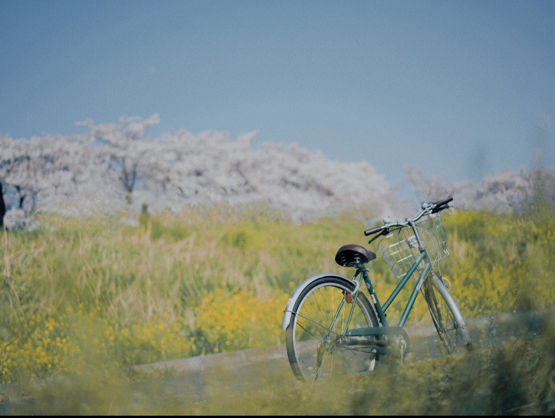 Thumb 26091856 4cc2 4ff6 99cd cbc444dd3bca